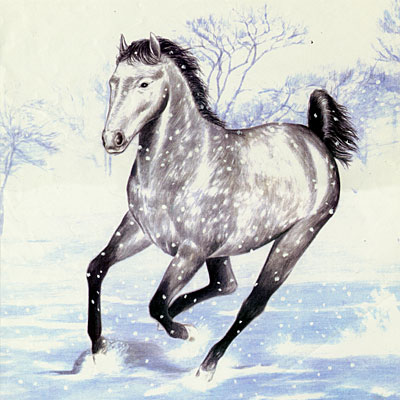 雪原の馬