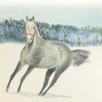 冬の馬